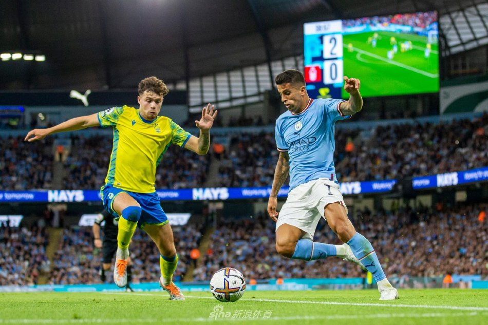 国家队阵容 国家队阵容